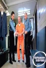 The Jim Gaffigan Show