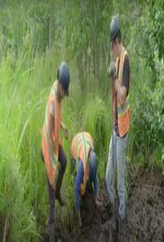 The Curse of Oak Island