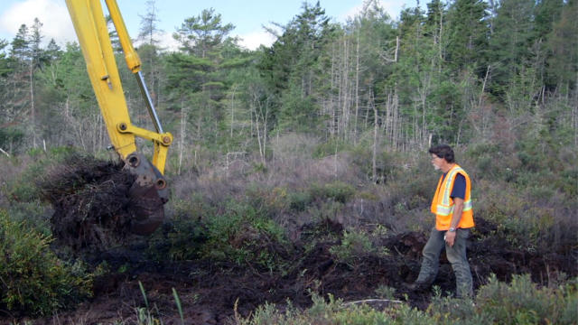 The Curse of Oak Island